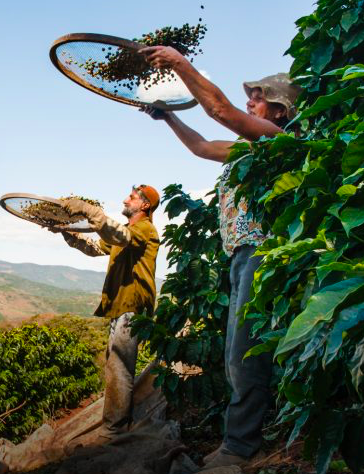 Lavazza ve Sürdürülebilirlik: Blend For Better