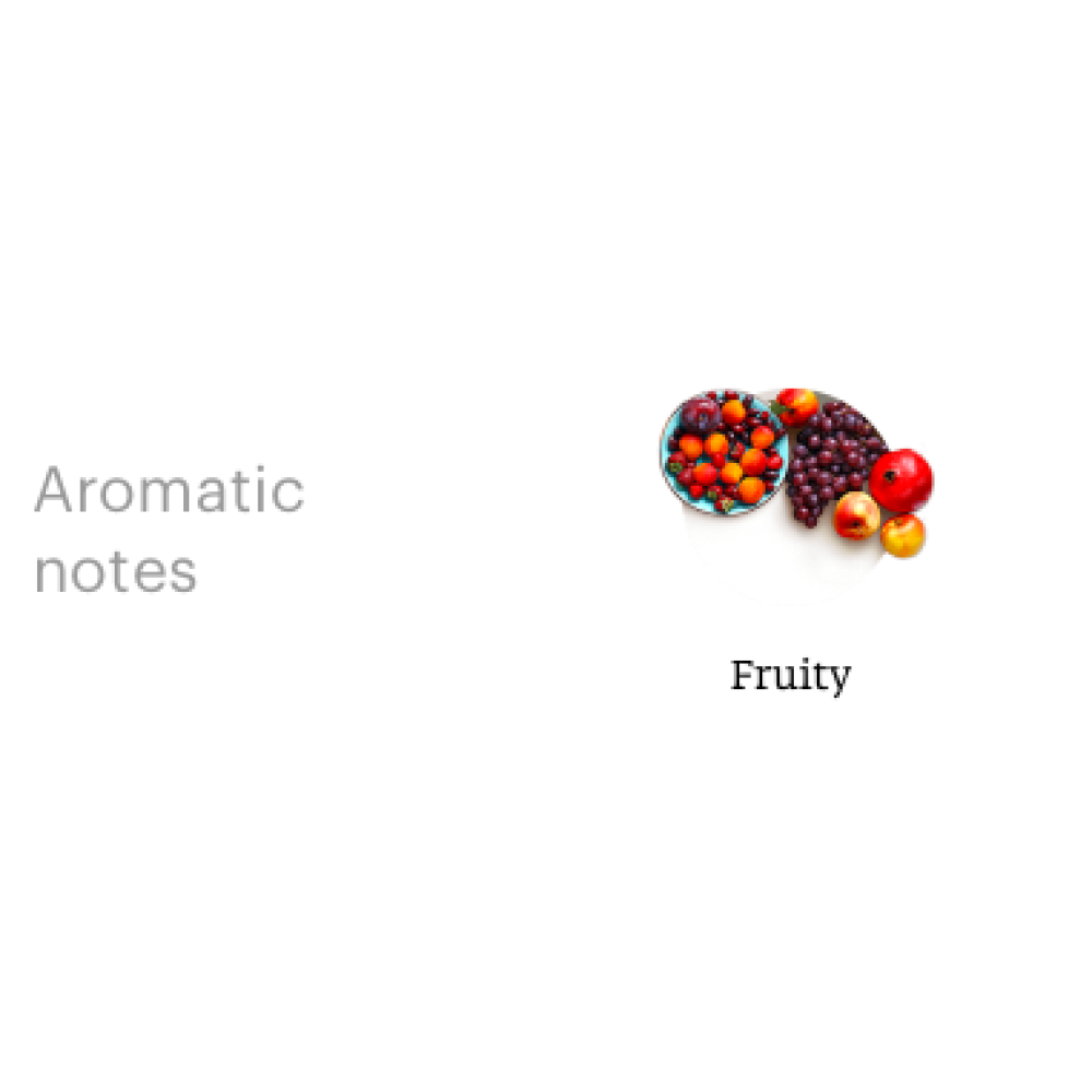 Italiano%20+2-1000x1000w.png